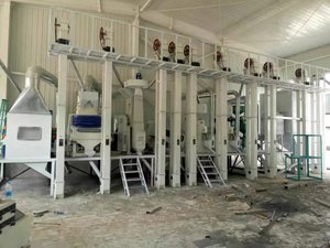 60噸成套小米加工設備